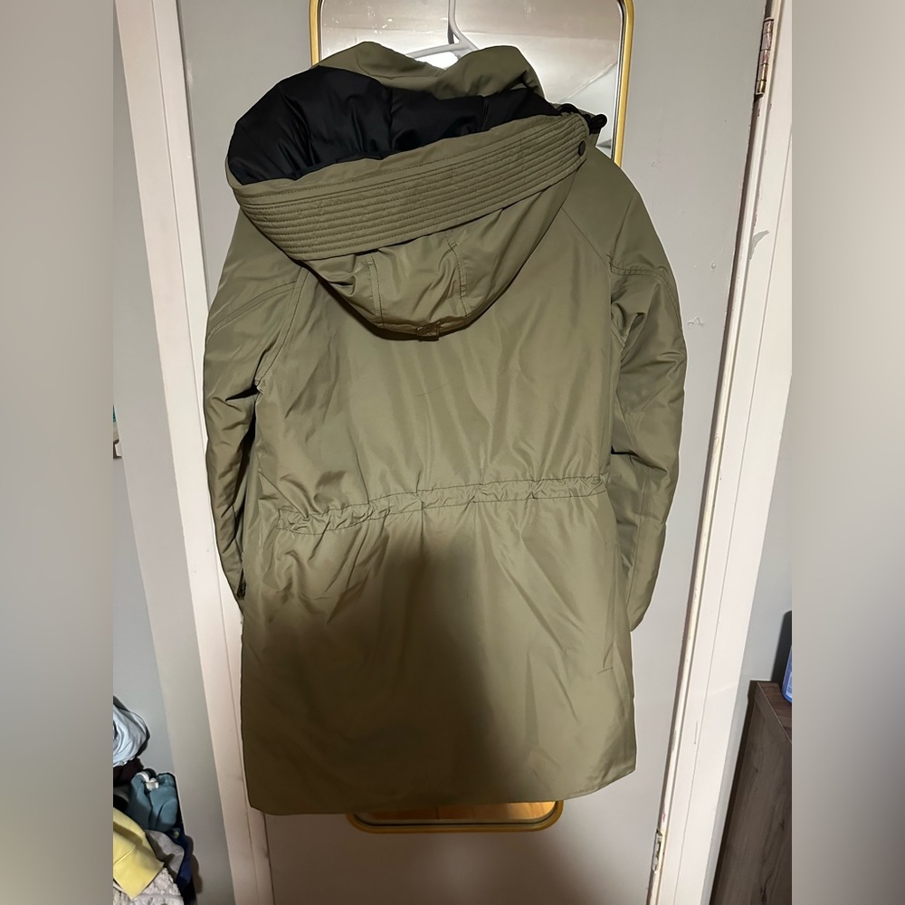 Everlane Parka